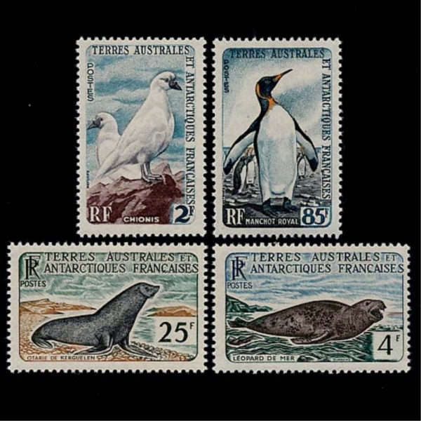 FRENCH SOUTHERN AND ANTARCTIC TERRITORIES(   )-#16~19(4)-SHEATHBILLS,SEALEOPARD,WEDDELL SEAL,KING PENGUIN(,ӱ)-1960.12.15