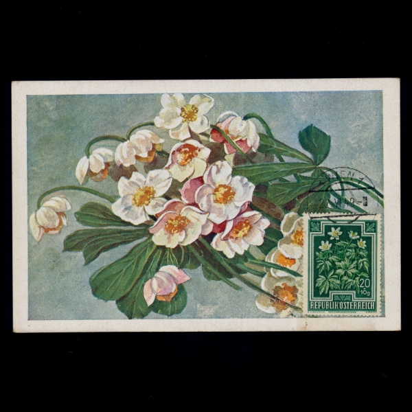 AUSTRIA(Ʈ)-߽øī(MAXIMUM CARD)-#B236-20+10g-ANEMONE(Ƴ׸)-1948.5.14