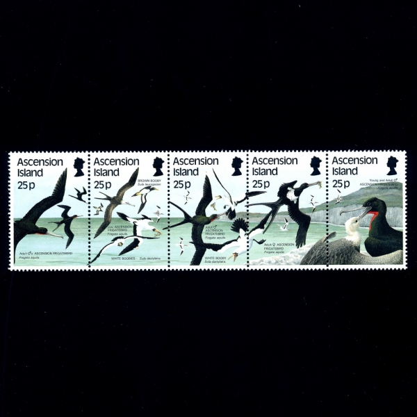 ASCENSION( )-#430a~e(5)-BIRDS()-1987.10.8
