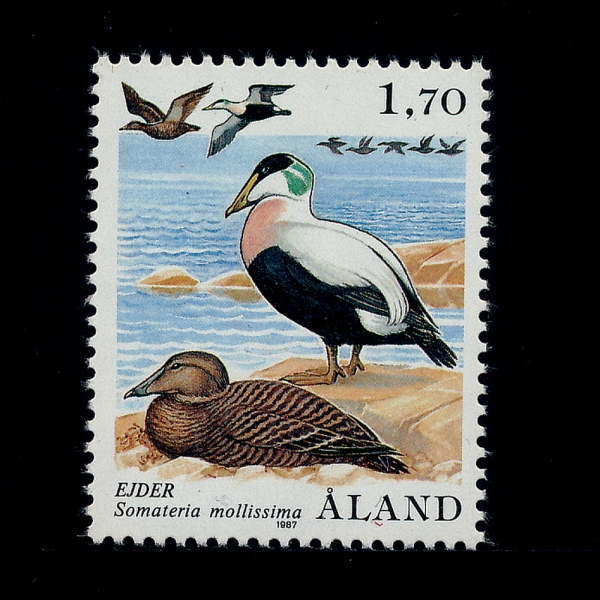 ALAND ISLANDS(ö )-#12-1.70m-SOMATERIA MOLLISSIMA(Ŀ ̴)-1987.1.2