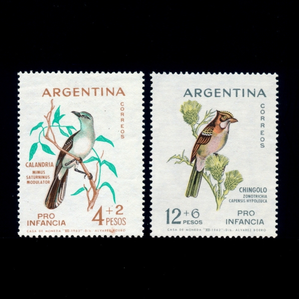 ARGENTINA(ƸƼ)-#B40~1(2)-MIMUS SATURNINUS MODULATOR, ZONOTRICHIA CAPENSIS HYPOLEUCA(ջ,Ǫ Į )-1962.12.29