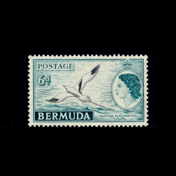 BERMUDA(´)-#152-6p-BERMUDIAN WATER SCENE AND YELLOW-BILLED TROPIC BIRD( û  )-1953
