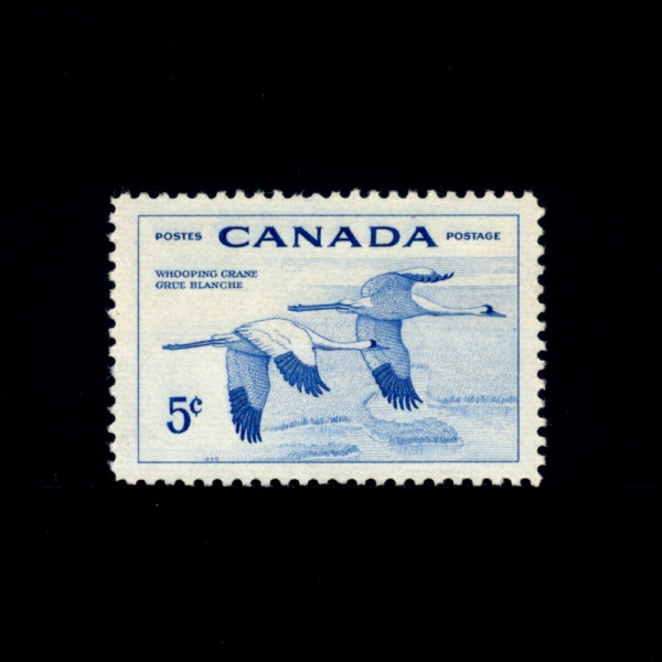 CANADA(ĳ)-#353-5c-WHOOPING CRANES( ũ)-1955.4.4