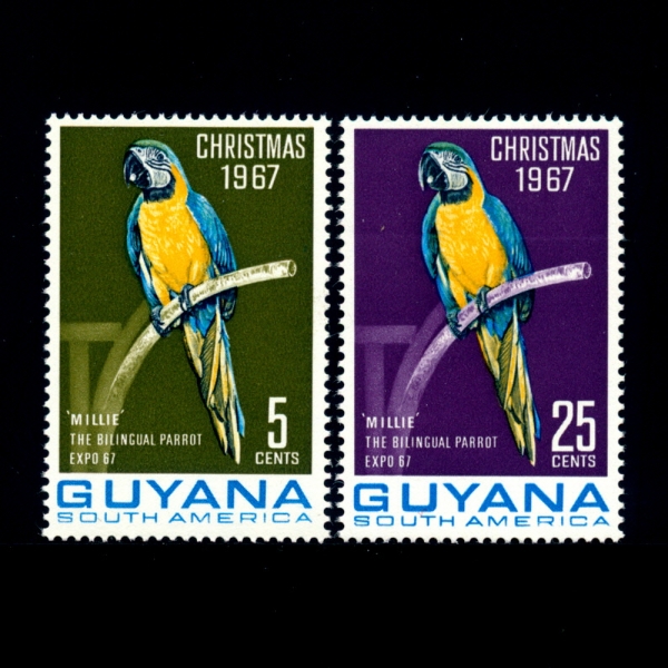 GUYANA(̾Ƴ)-#33,33A(2)-\"MILLIE\" THE BILINGUAL MACAW(и,  ī)-1967.11.6