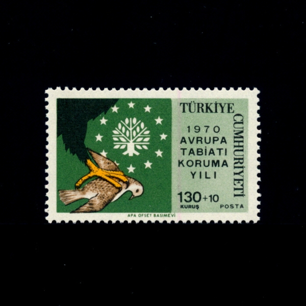 TURKEY(Ű)-#B134-130+10k-PRPTECTION OF WILDLIFE, BIRD OF PREY(߻  ȣ,ͱݷ)-1970.2.9