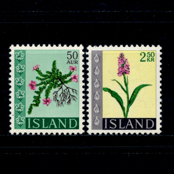 ICELAND(̽)-#393~4(2)-SAXIFRAGA OPPOSITIFOLIA AND ORCHIS MACULATA( ,Ű Ÿ)-1968.1.17