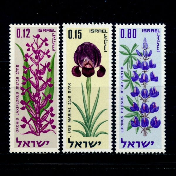 ISRAEL(̽)-#414~6(3)-FLOWERS(Ĺ)-1970.5.6