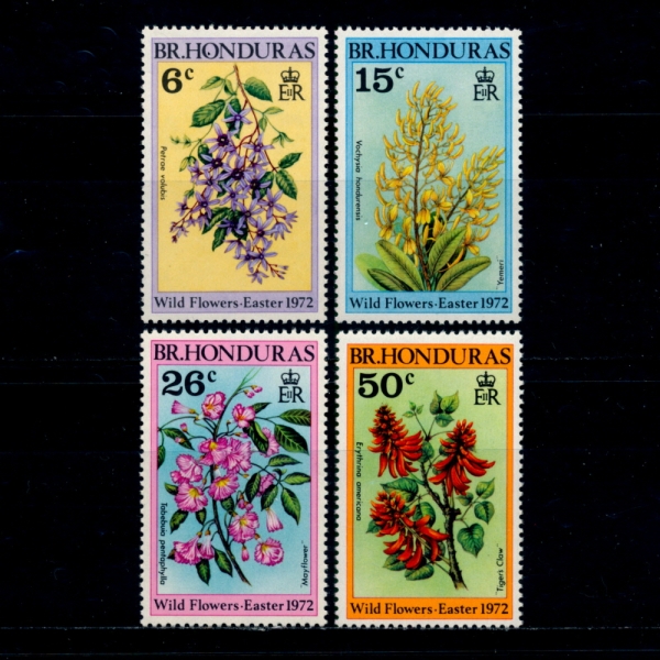 BRITISH HONDURAS( µζ)-#292~5(4)-WILD FLOWERS(߻ȭ)-1972.2.26