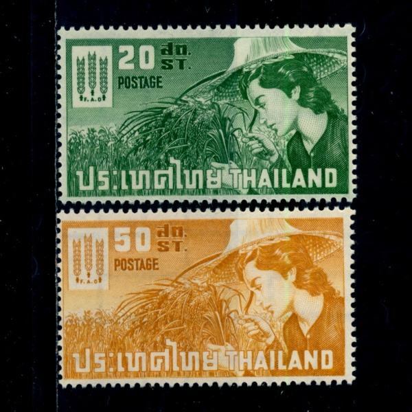 THAILAND(±)-#392~3(2)-WOMAN HARVESTING RICE( Ȯ)-1963.3.21