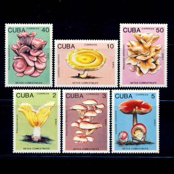 CUBA()-#3094~9(6)-EDIBLE MUSHROOMS(Ŀ )-1989.1.10