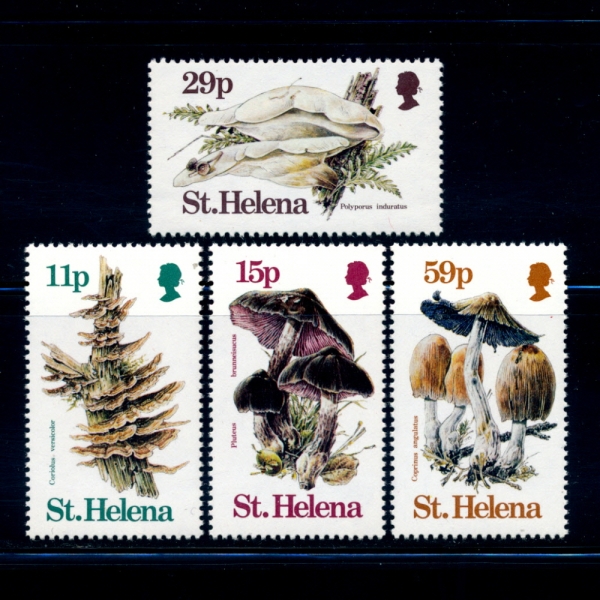 ST.HELENA(Ʈ ﷹ)-#390~3(4)-LOCAL FUNGI(߻)-1983.6.16